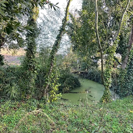 Le Petit Franc Cosy Proche Tous Commerces Tonnay-Charente